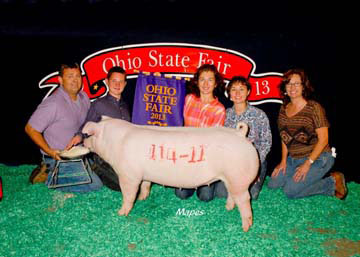 Champion Chester White